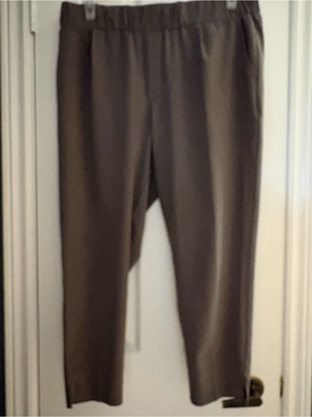 Women’s Brown Nylon Elastic-Waist Dress Ankle Pants.